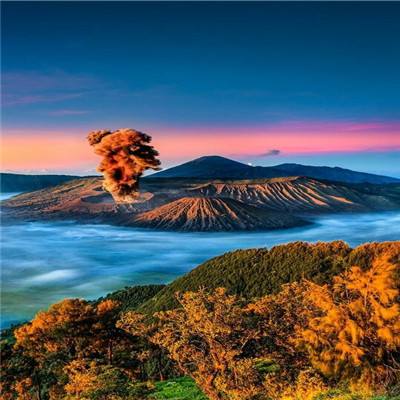 魔物召唤者手游
